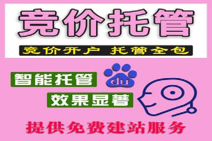 某公司SEM推广代运营的实战经验分享